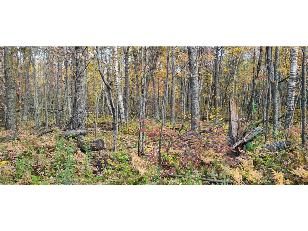 6436 County Road 11 Pequot Lakes MN 56472 6778551 image43