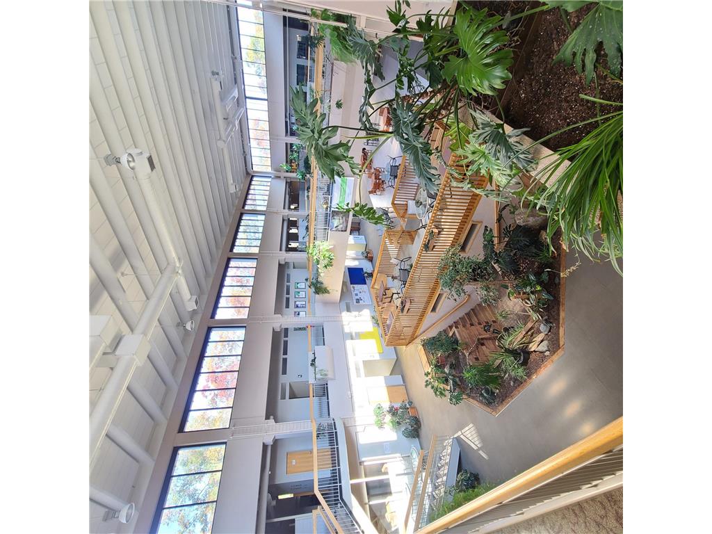 6436 County Road 11 Pequot Lakes MN 56472 6778551 image59