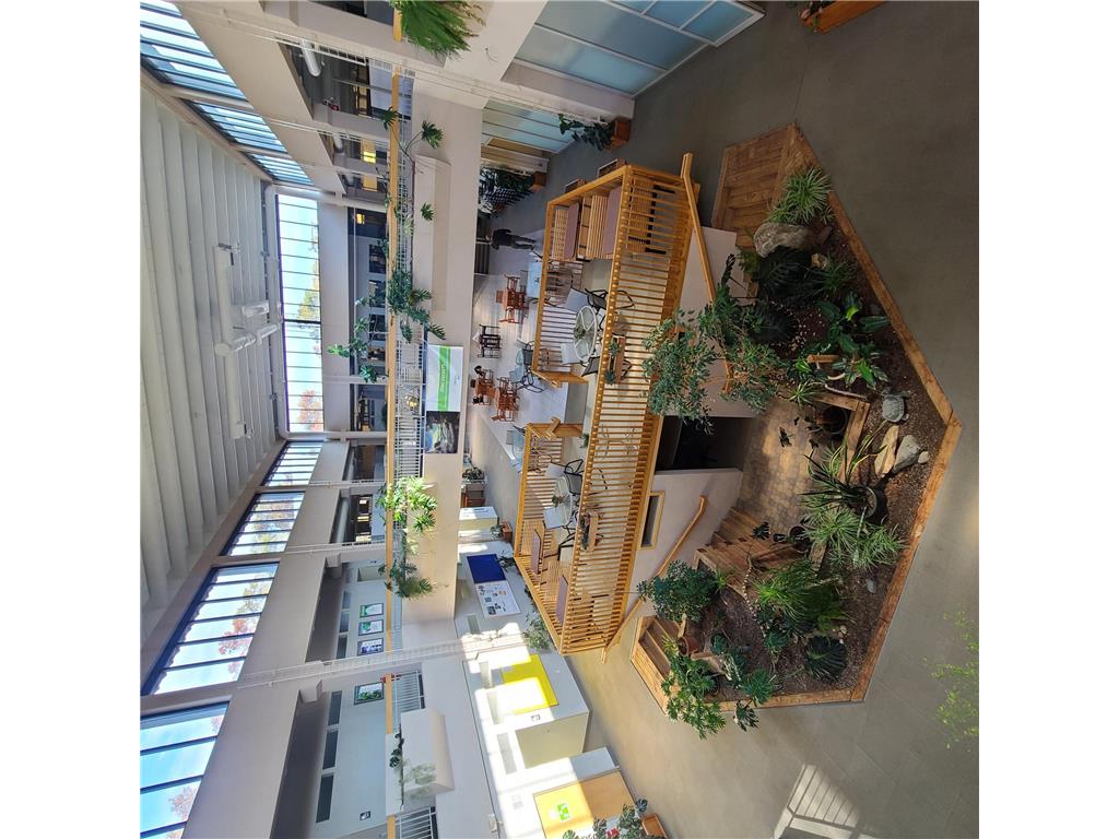 6436 County Road 11 Pequot Lakes MN 56472 6778551 image61