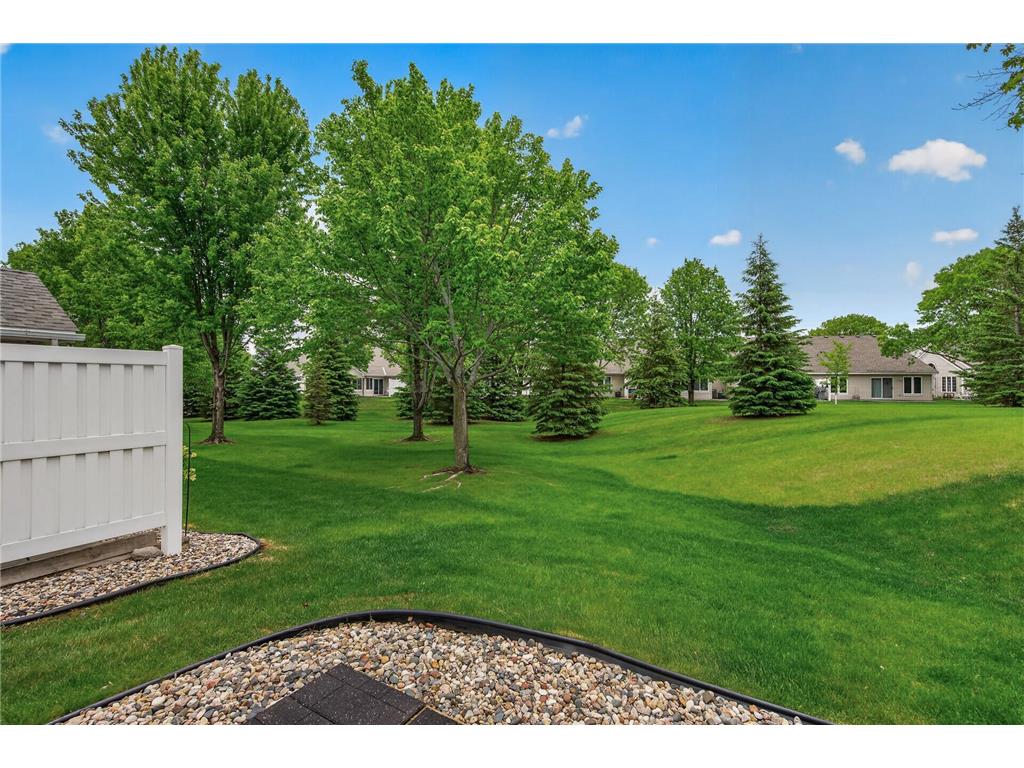 6437 Brook Lane Savage MN 55378 7070880 image26