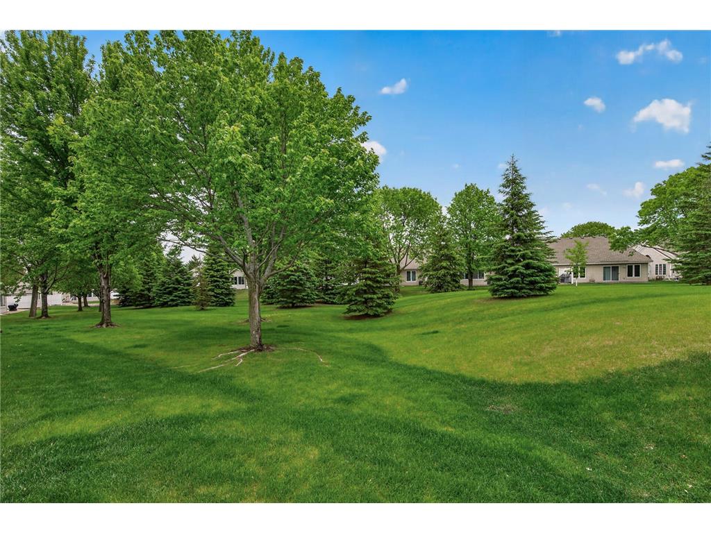 6437 Brook Lane Savage MN 55378 7070880 image27