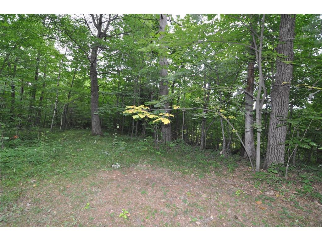 6444 Cougar Trail NW Walker MN 56484 6779491 image32