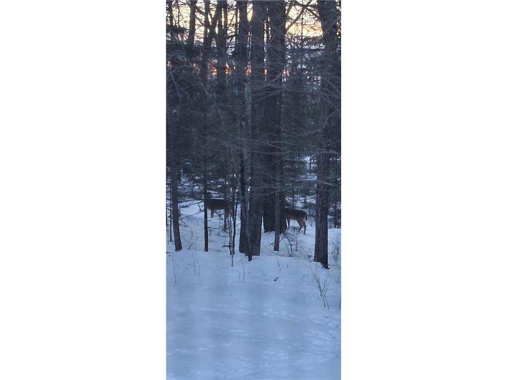 64503 Norway Spruce Road Pine Lake Twp MN 55735 7019137 image47