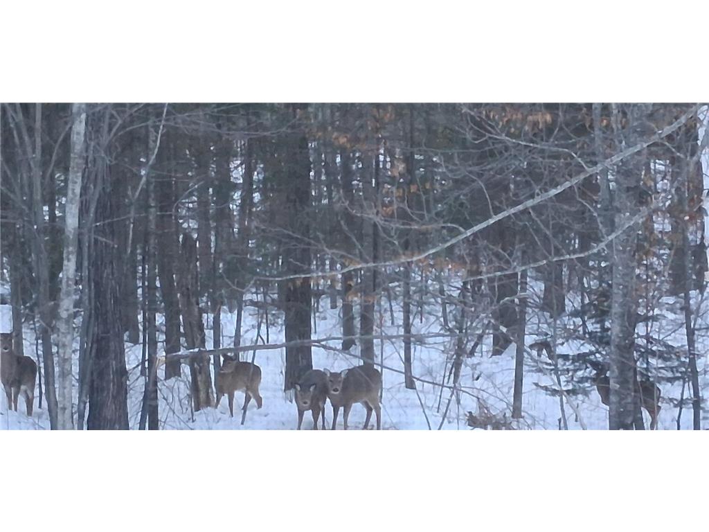 64503 Norway Spruce Road Pine Lake Twp MN 55735 7019137 image48