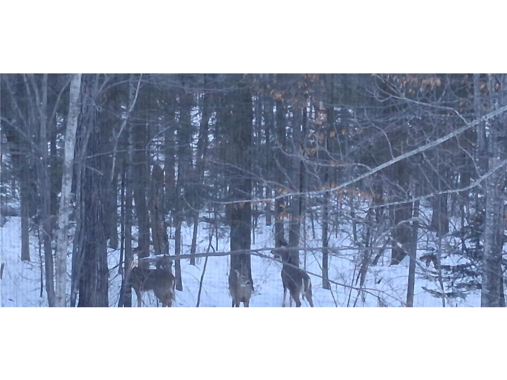 64503 Norway Spruce Road Pine Lake Twp MN 55735 7019137 image49