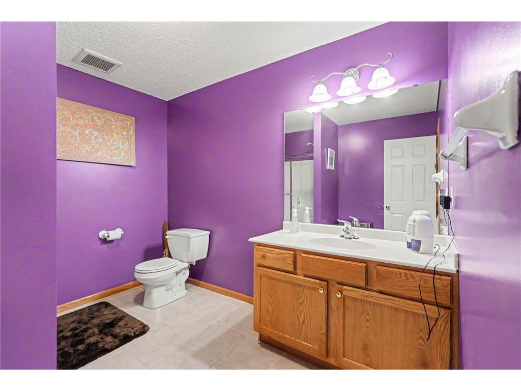 6452 Pheasant Hills Drive Lino Lakes MN 55038 7096592 image19