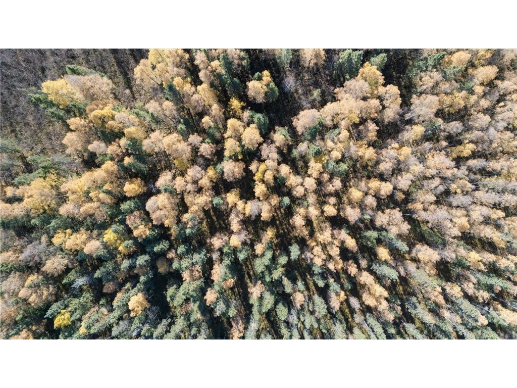 6457 Colombe Road Balkan Twp MN 55719 6803452 image11