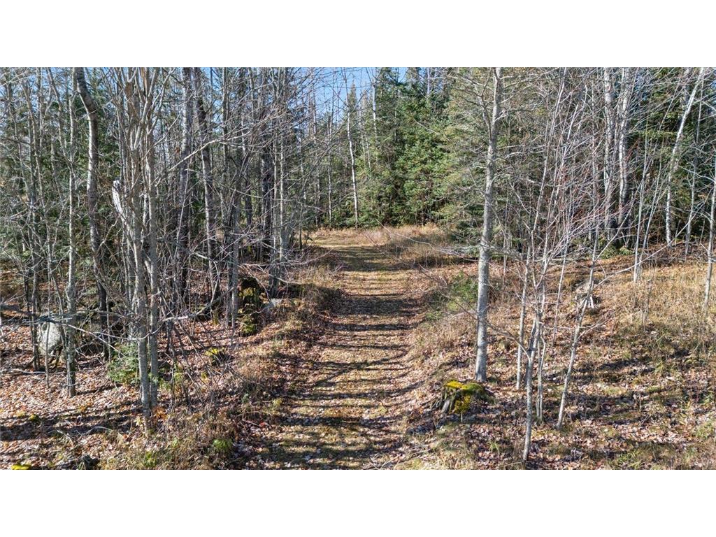 6457 Colombe Road Balkan Twp MN 55719 6803452 image12