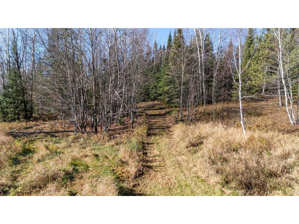 6457 Colombe Road Balkan Twp MN 55719 6803452 image16