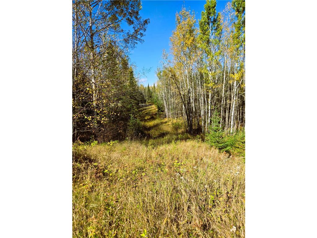 6457 Colombe Road Balkan Twp MN 55719 6803452 image18