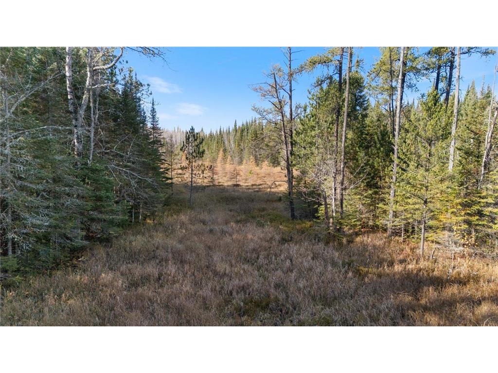 6457 Colombe Road Balkan Twp MN 55719 6803452 image19