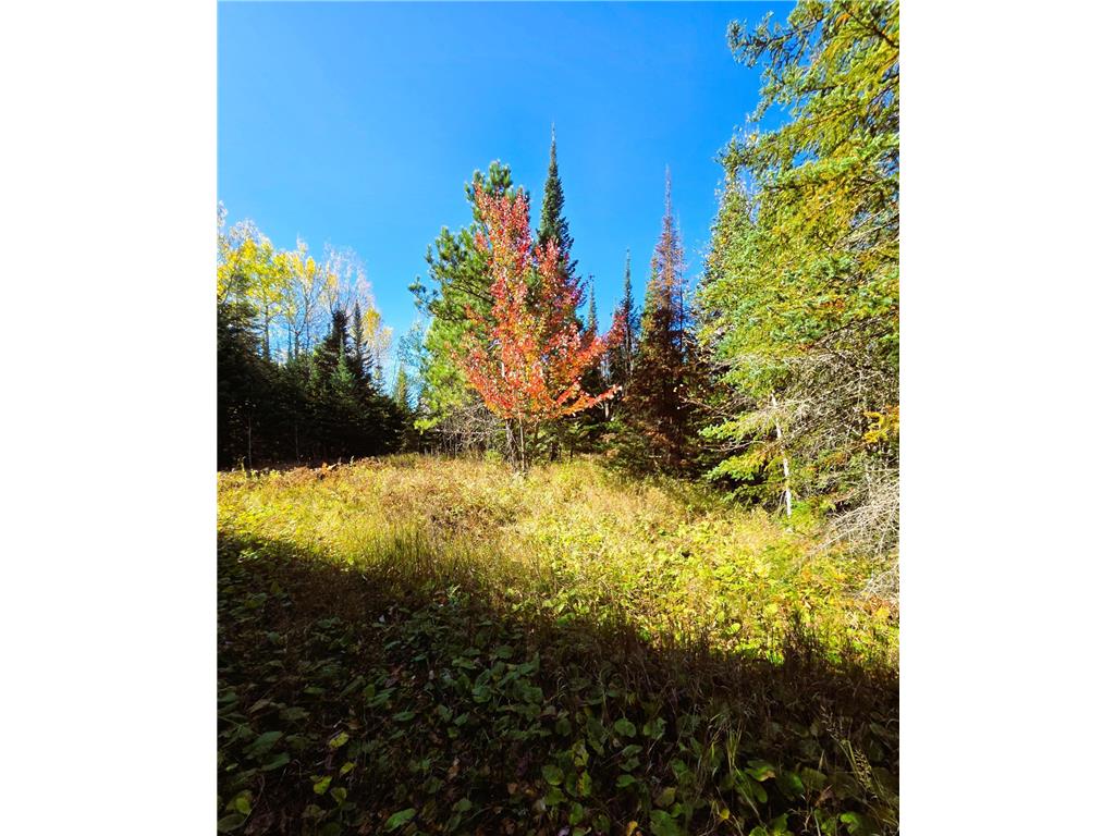 6457 Colombe Road Balkan Twp MN 55719 6803452 image20