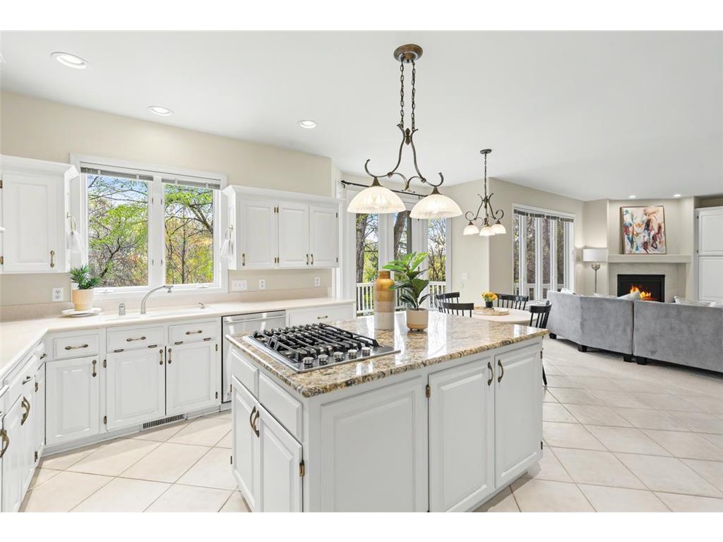 6459 Pinnacle Drive Eden Prairie MN 55346 7062722 image17