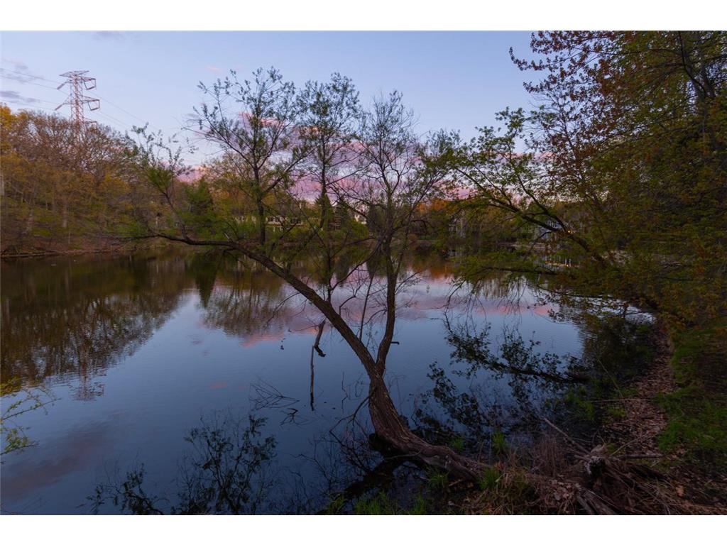 6459 Pinnacle Drive Eden Prairie MN 55346 7062722 image58