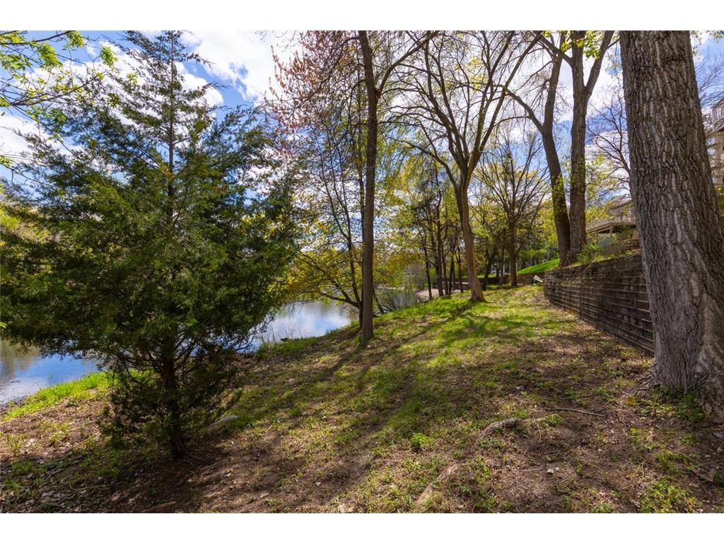 6459 Pinnacle Drive Eden Prairie MN 55346 7062722 image59