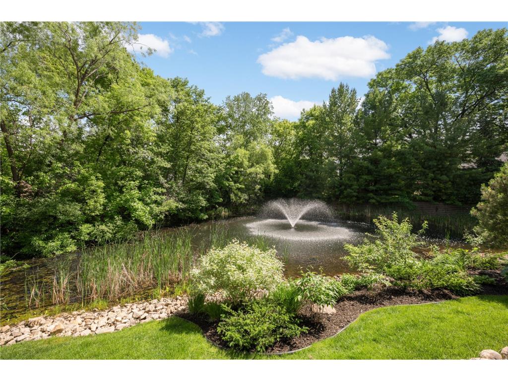 6460 Ivy Way Edina MN 55436 7082651 image38