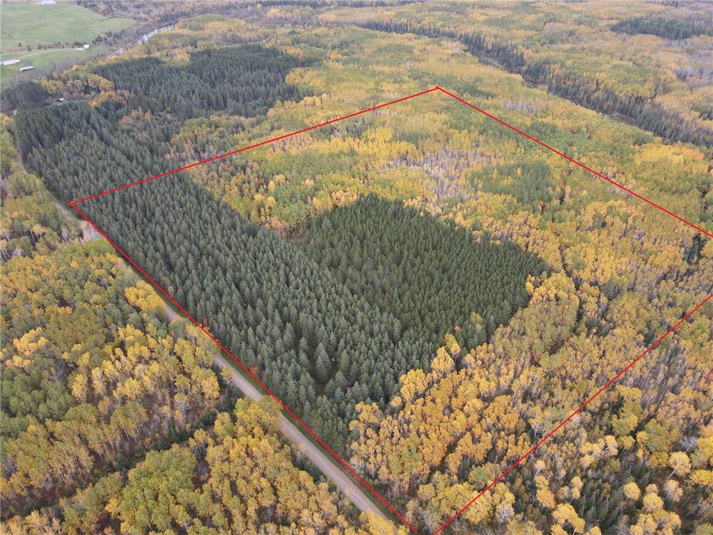 64636 County Road 235 Effie MN 56639 6798376 image1