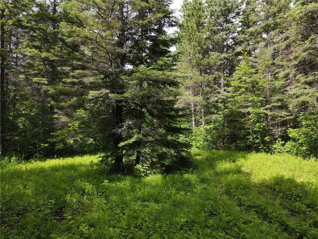 64636 County Road 235 Effie MN 56639 7098569 image10