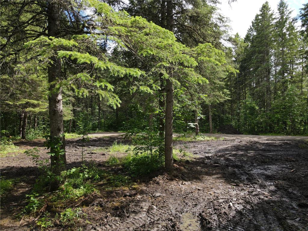 64636 County Road 235 Effie MN 56639 7098569 image11