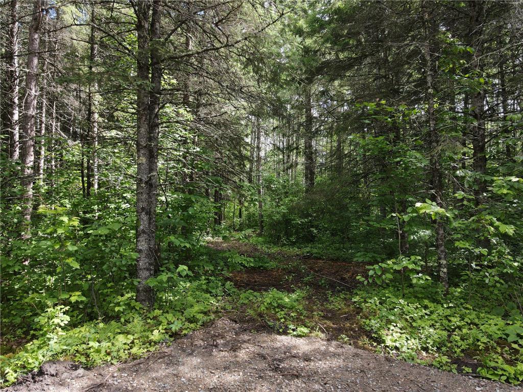 64636 County Road 235 Effie MN 56639 7098569 image12