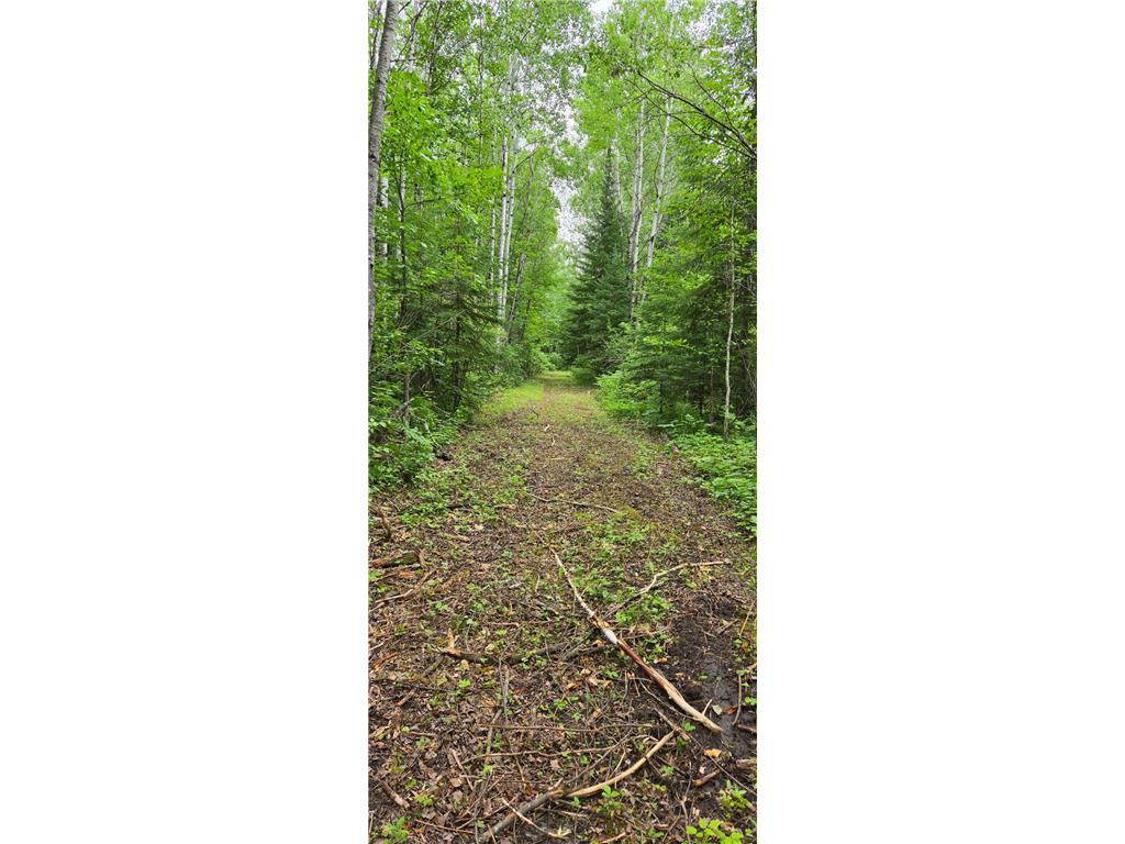 64636 County Road 235 Effie MN 56639 7098569 image13