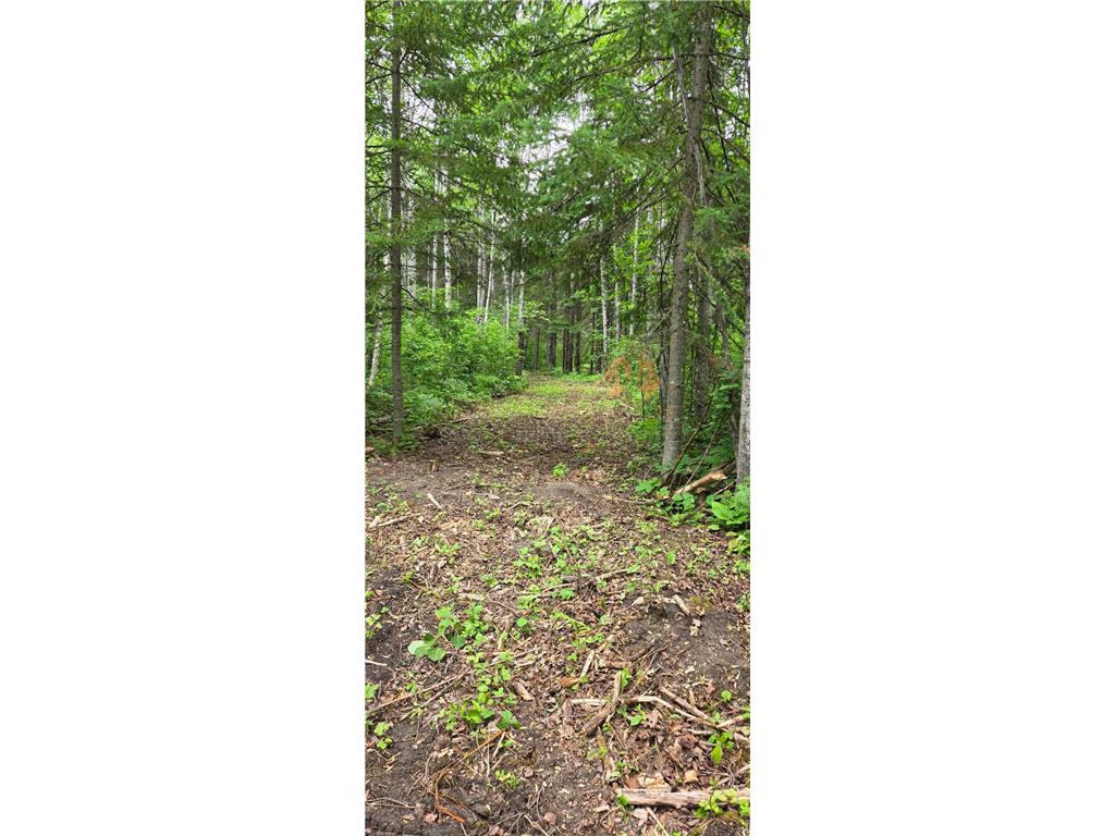64636 County Road 235 Effie MN 56639 7098569 image14