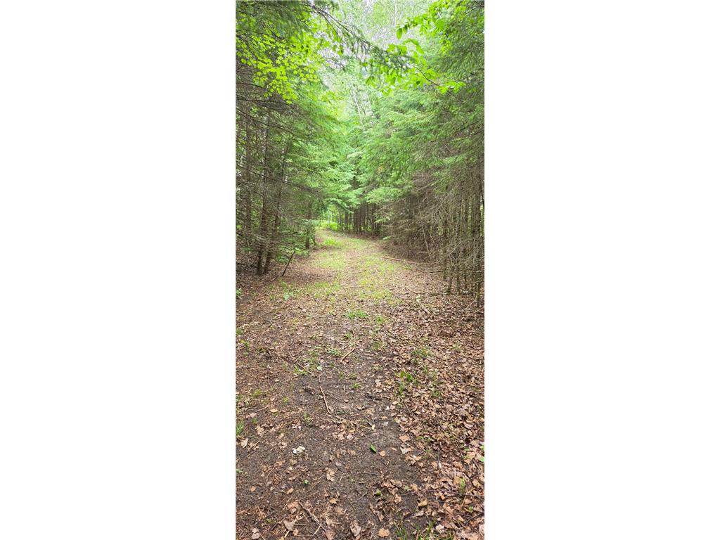 64636 County Road 235 Effie MN 56639 7098569 image15