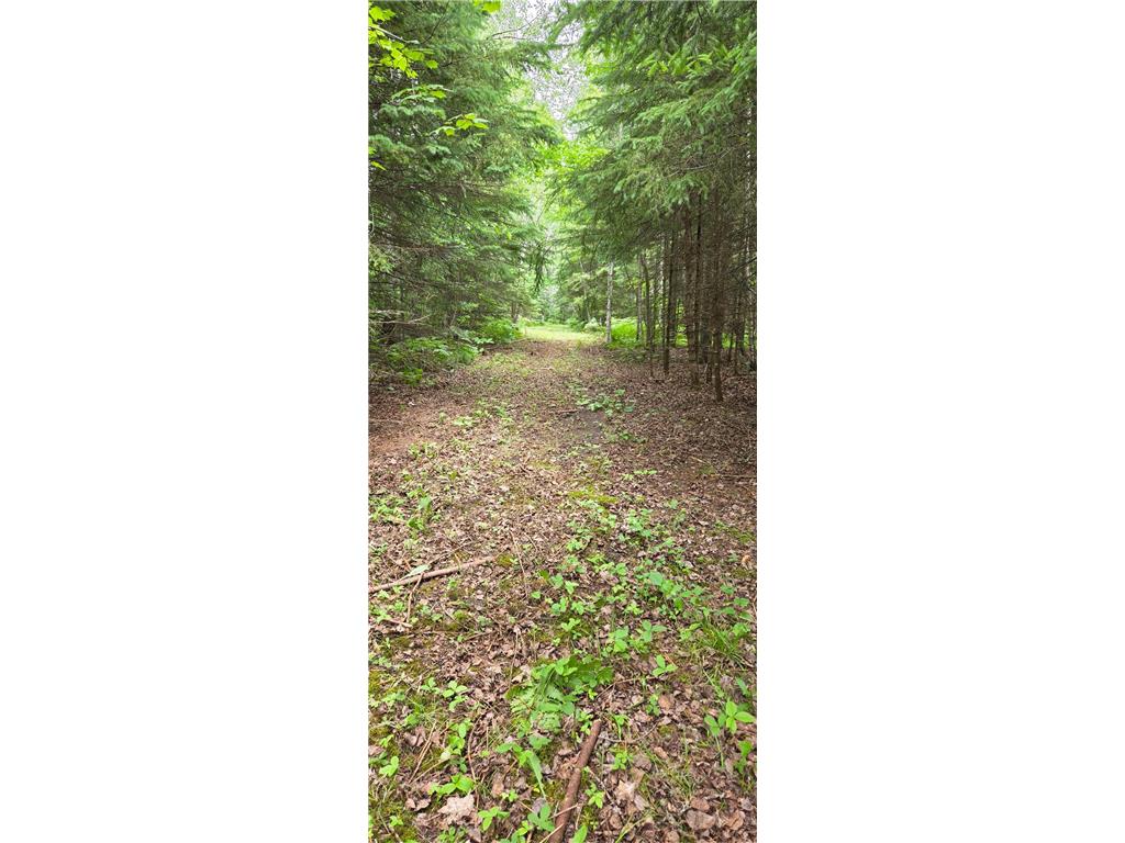 64636 County Road 235 Effie MN 56639 7098569 image16
