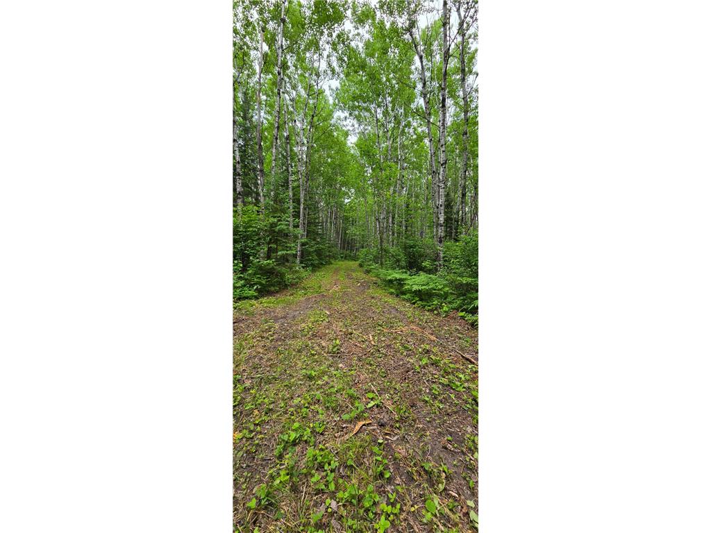 64636 County Road 235 Effie MN 56639 7098569 image17