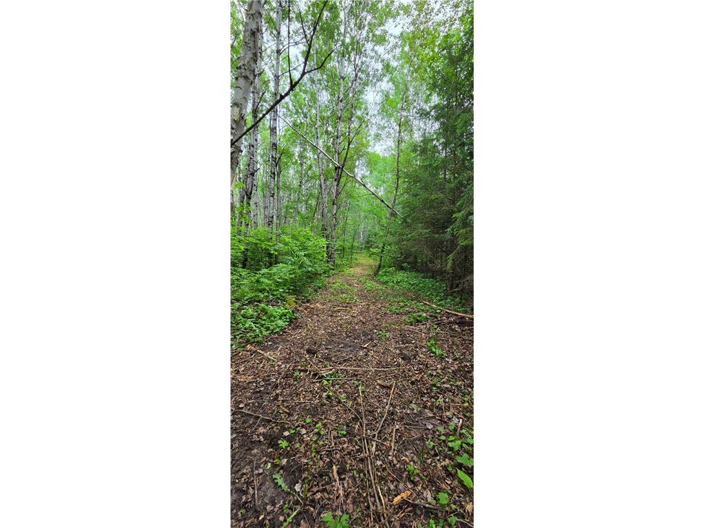 64636 County Road 235 Effie MN 56639 7098569 image18