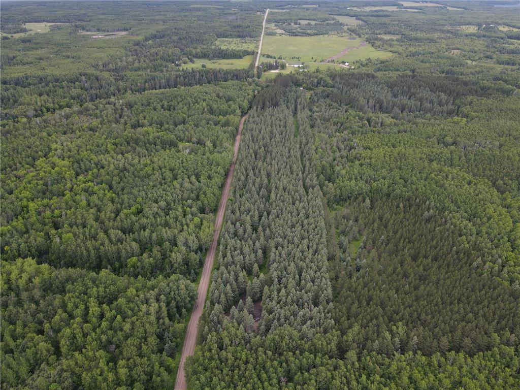 64636 County Road 235 Effie MN 56639 7098569 image2