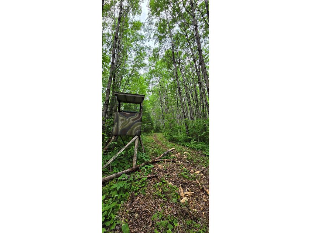 64636 County Road 235 Effie MN 56639 7098569 image21