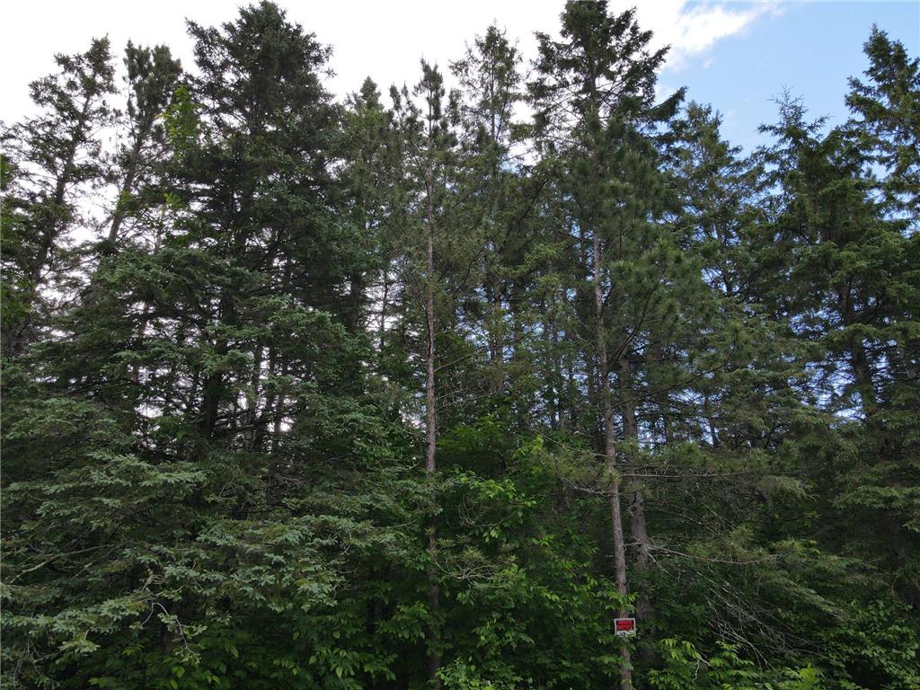 64636 County Road 235 Effie MN 56639 7098569 image22