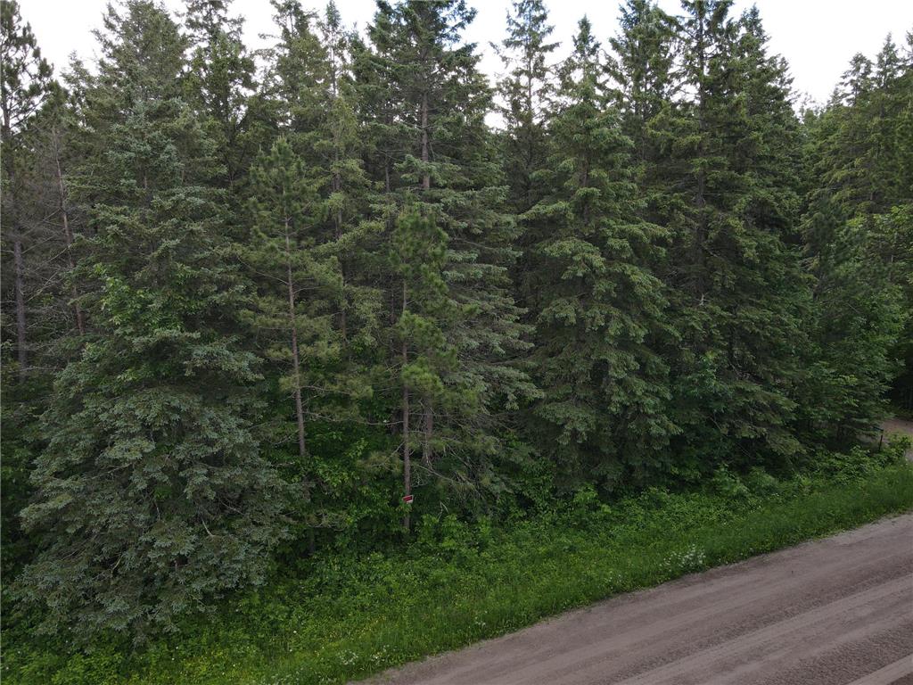 64636 County Road 235 Effie MN 56639 7098569 image23