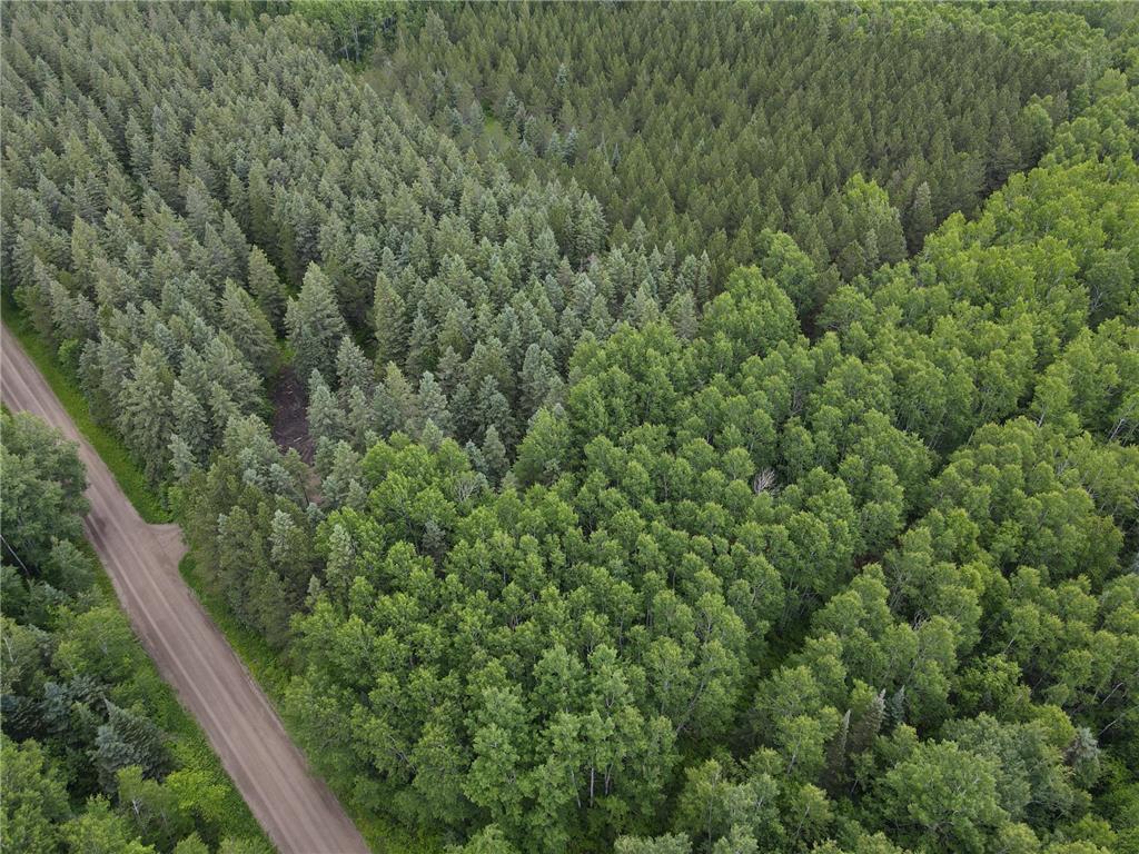 64636 County Road 235 Effie MN 56639 7098569 image3
