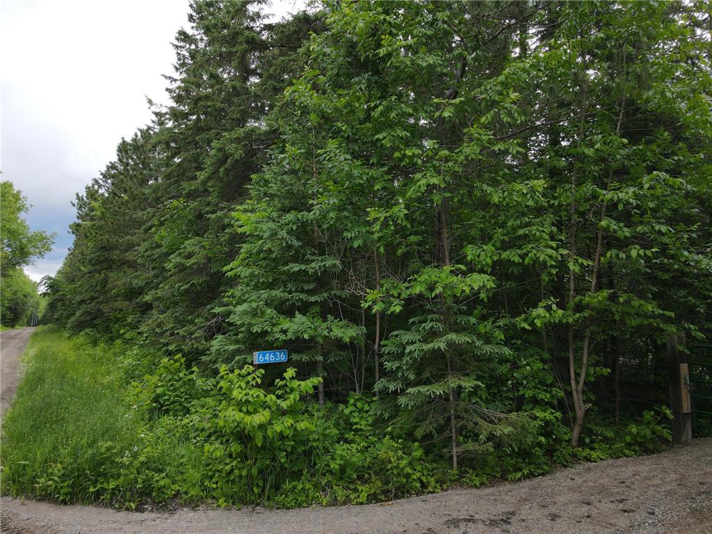 64636 County Road 235 Effie MN 56639 7098569 image7