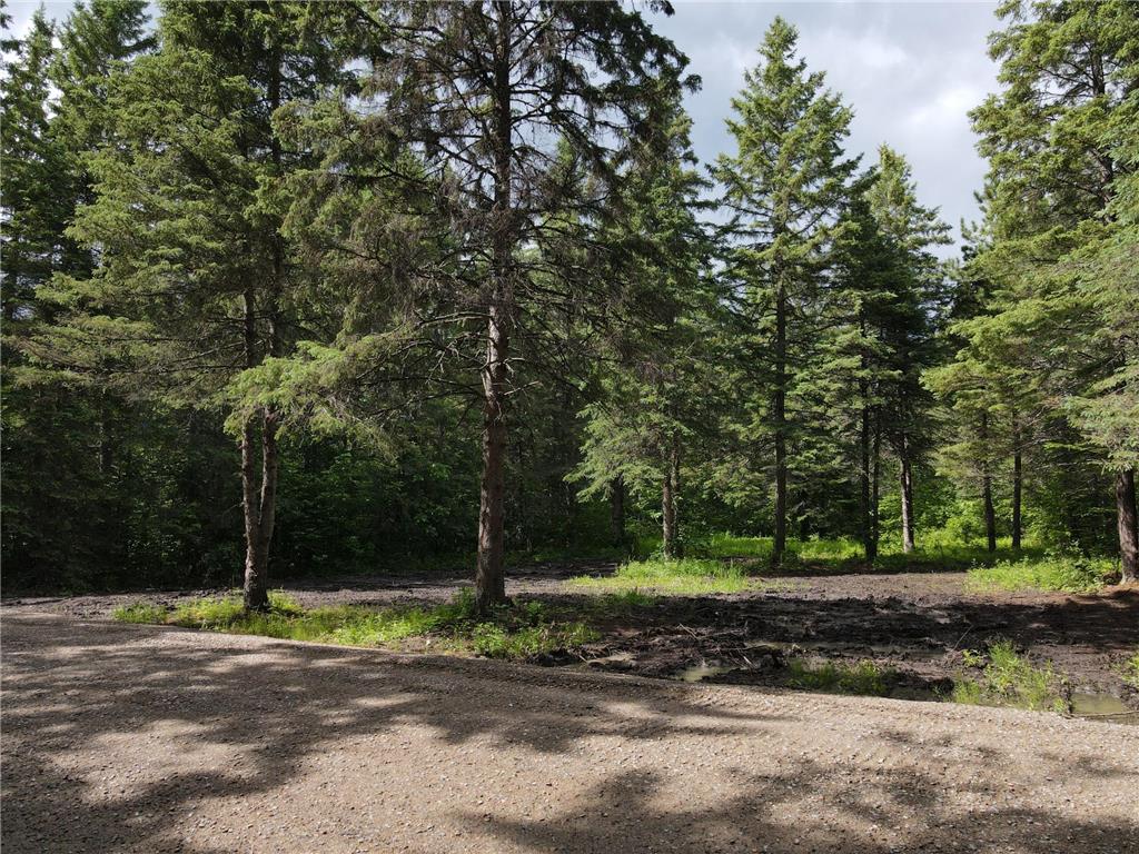 64636 County Road 235 Effie MN 56639 7098569 image8