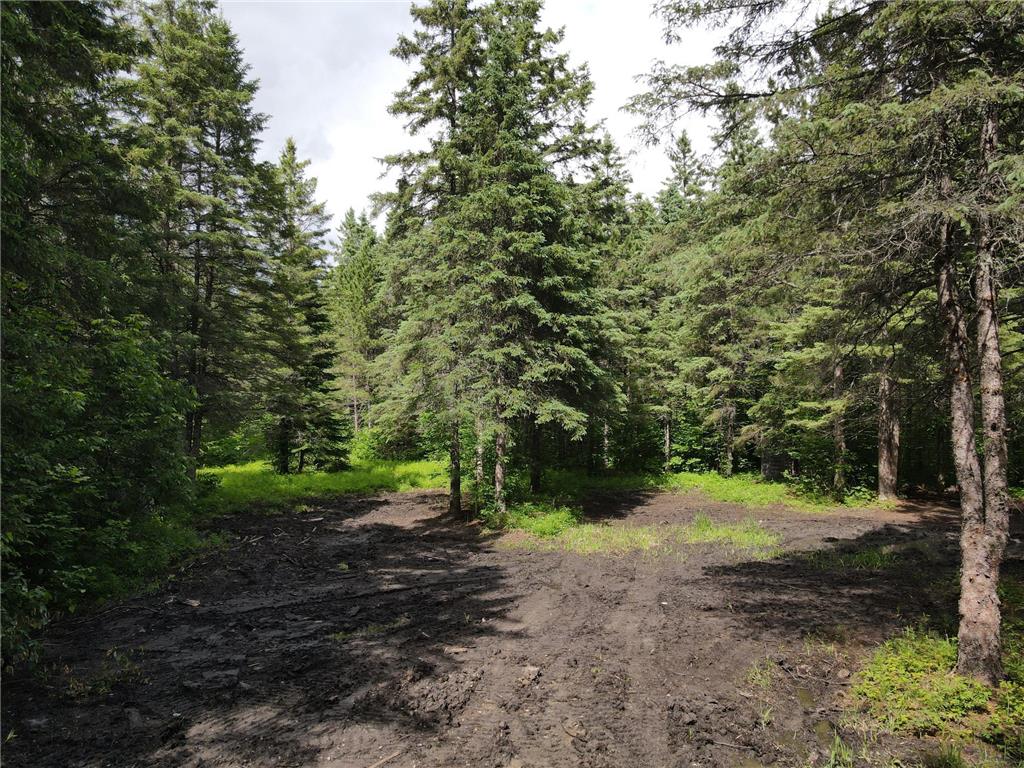 64636 County Road 235 Effie MN 56639 7098569 image9