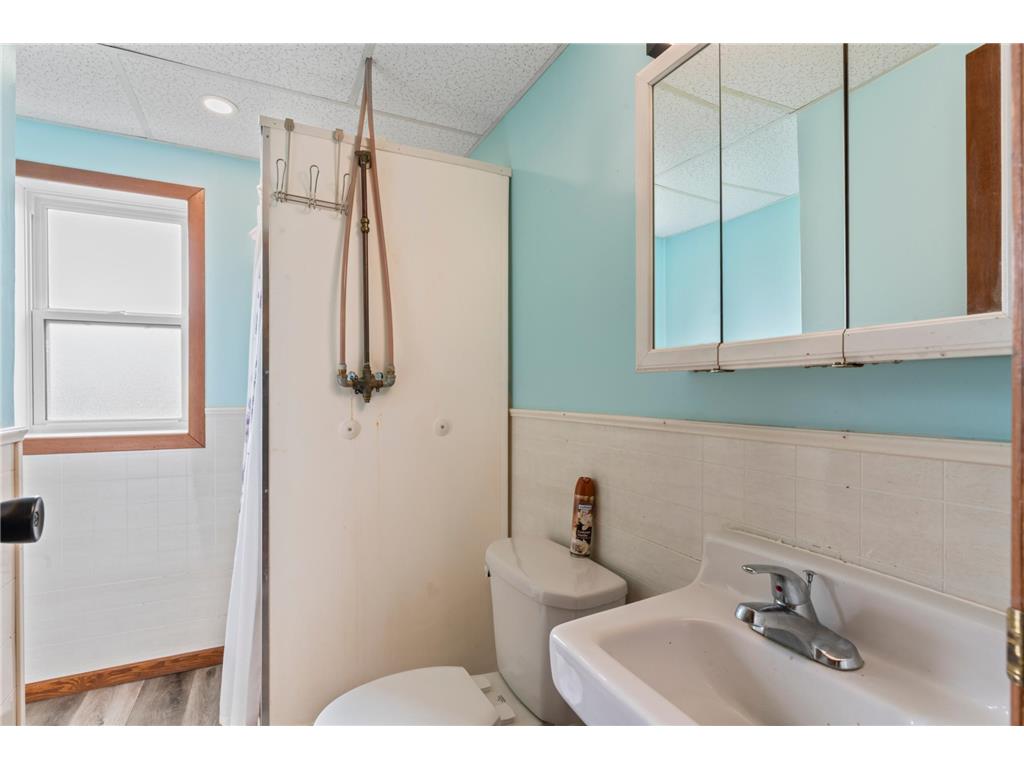 647 2nd Street NE Blooming Prairie MN 55917 7100354 image22