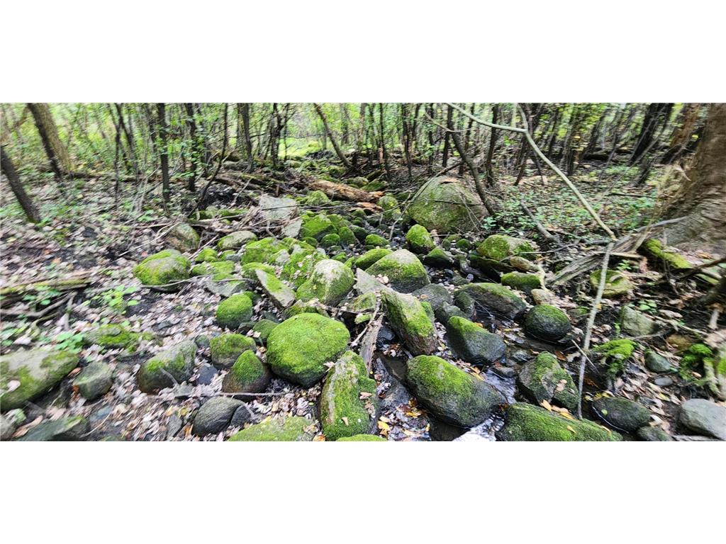 647 Stagecoach Road Mantorville MN 55955 - Zumbro River - South Fork 6794290 image39