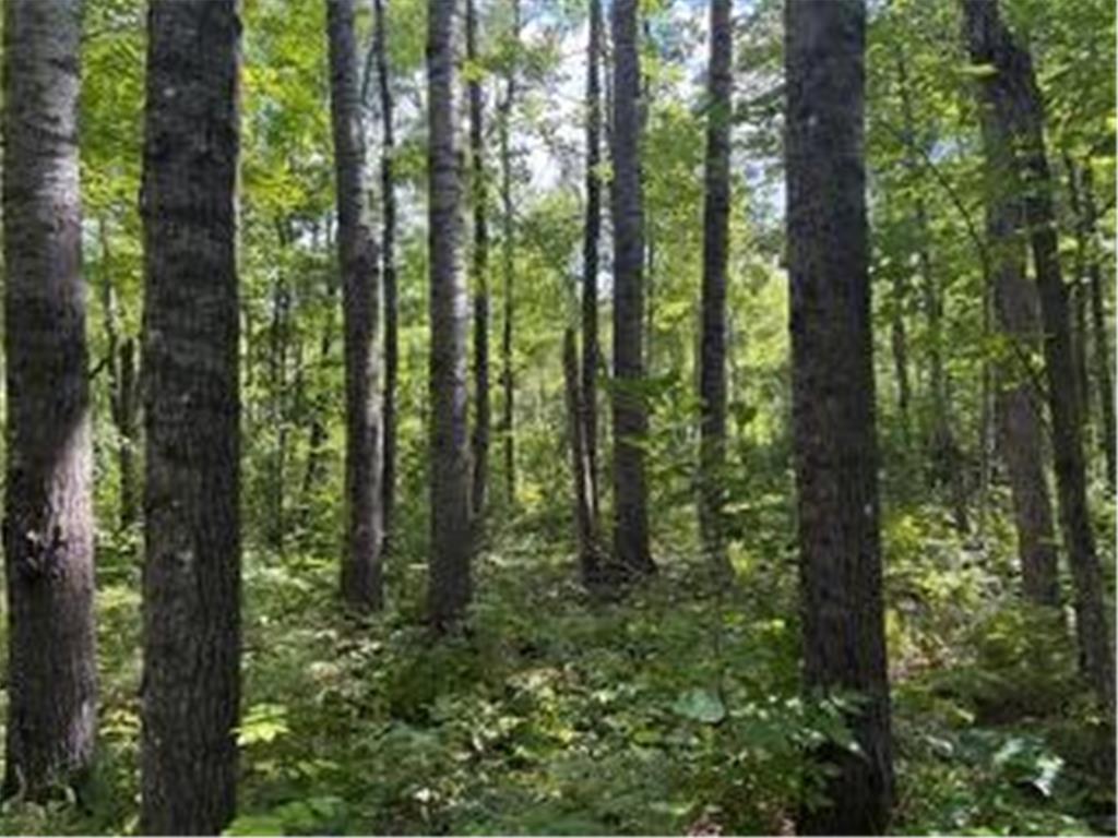 64838 Kingsdale Road New Dosey Twp MN 55072 6783394 image13