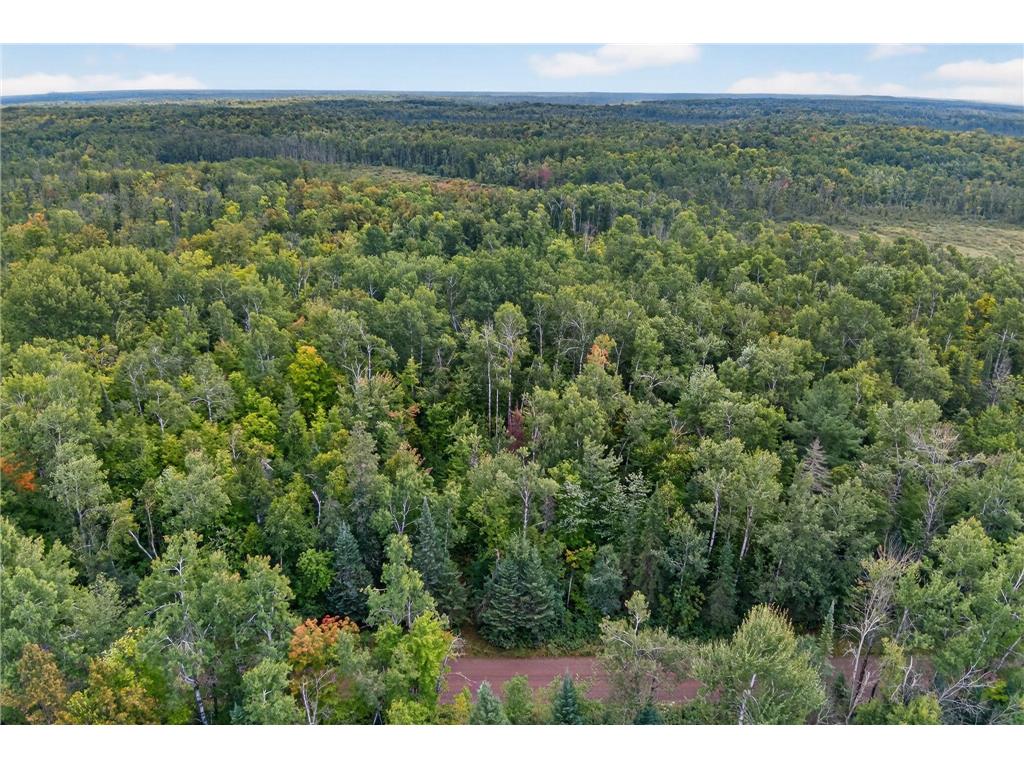 64838 Kingsdale Road New Dosey Twp MN 55072 7047050 image1