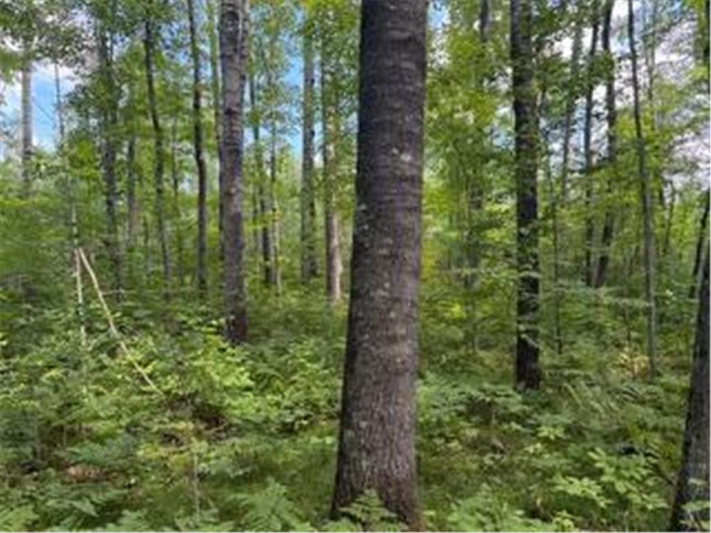 64838 Kingsdale Road New Dosey Twp MN 55072 7047050 image12