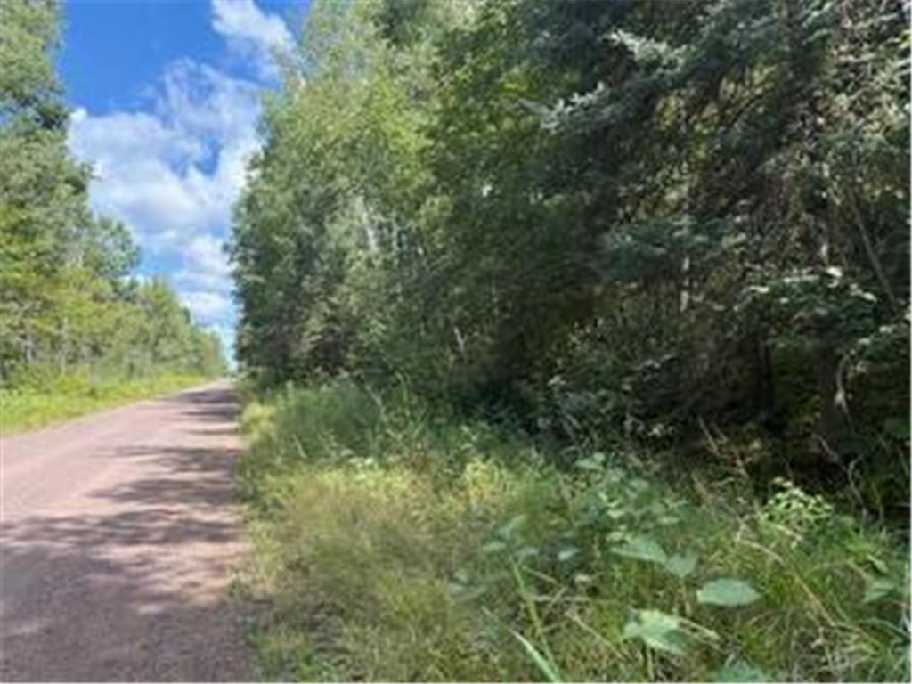 64838 Kingsdale Road New Dosey Twp MN 55072 7047050 image15
