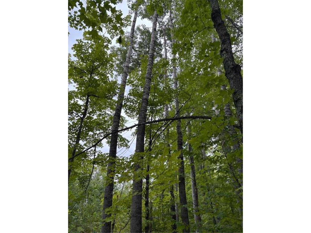 64838 Kingsdale Road New Dosey Twp MN 55072 7047050 image16