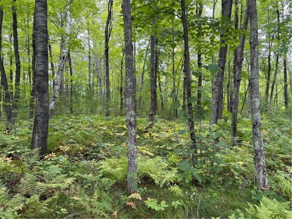 64838 Kingsdale Road New Dosey Twp MN 55072 7047050 image17