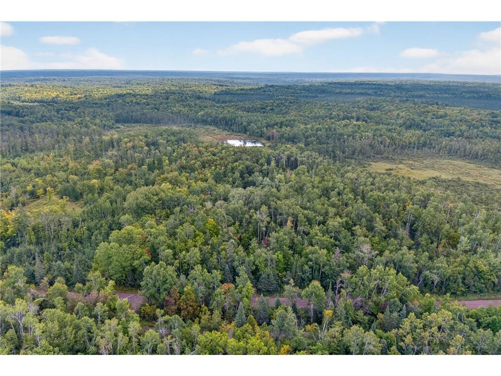 64838 Kingsdale Road New Dosey Twp MN 55072 7047050 image2