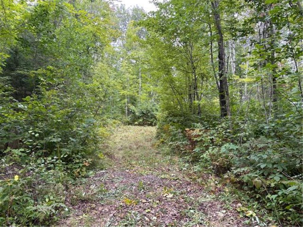 64838 Kingsdale Road New Dosey Twp MN 55072 7047050 image21