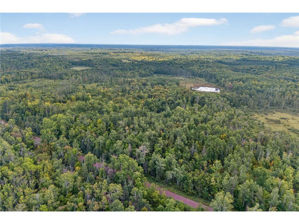 64838 Kingsdale Road New Dosey Twp MN 55072 7047050 image3