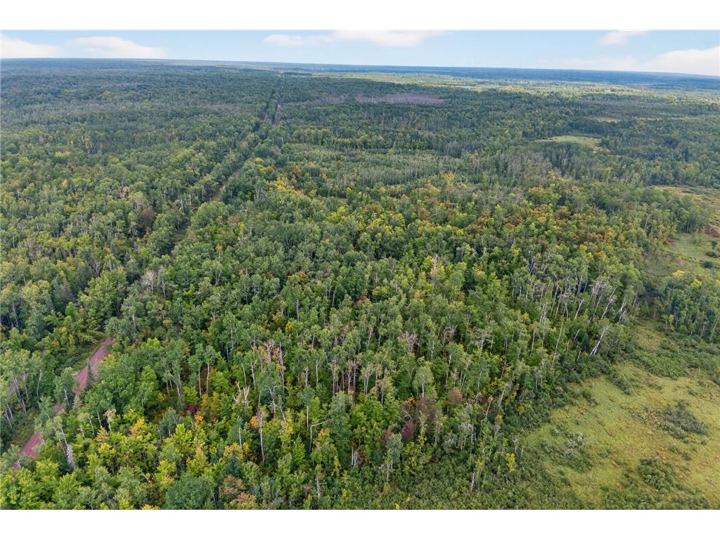 64838 Kingsdale Road New Dosey Twp MN 55072 7047050 image4